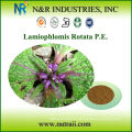 Fournisseur fiable Lamiophlomis Rotata PE Powder 30% Flavones